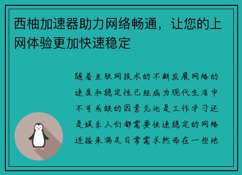西柚加速器助力网络畅通，让您的上网体验更加快速稳定